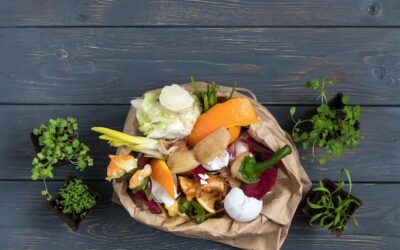 Domowy kompost – jak skutecznie przetwarzać odpady organiczne?