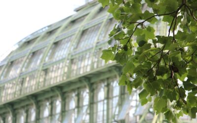 Gdzie kupić winietę do zielonej strefy w Berlinie?