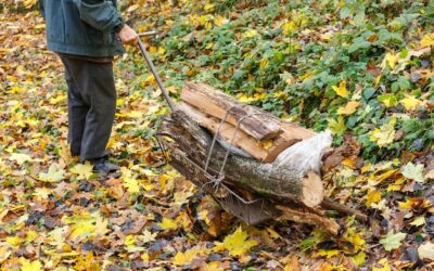 Gdzie najlepiej wrzucać drewno, aby ogrzać dom?