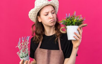 Jak ekologicznie pozbyć się zwiędłych kwiatów?