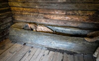 Jak skutecznie ocieplić starą piwnicę i uniknąć wilgoci?