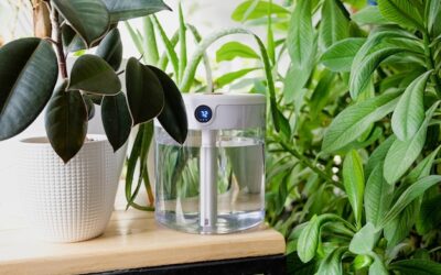 Jak urządzenie 3w1 ogrzewa, nawilża i oczyszcza powietrze w domu?