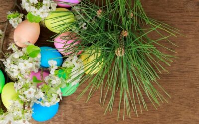 Jakie rośliny najlepiej sprawdzą się w palmie wielkanocnej?