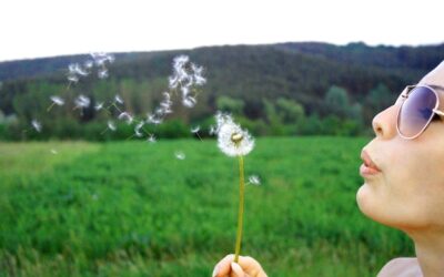 Kto może skorzystać z programu Czyste Powietrze?