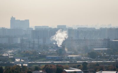 Od czego powstaje smog i jak wpływa na nasze zdrowie?