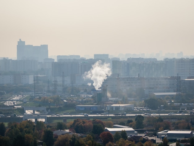 Od czego powstaje smog i jak wpływa na nasze zdrowie?