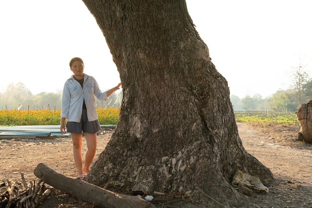 Jakie drzewa możesz wyciąć bez pozwolenia na swojej posesji?