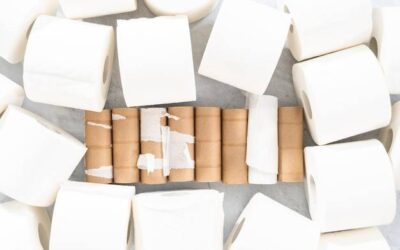 Gdzie można nabyć celulozę do różnych zastosowań?