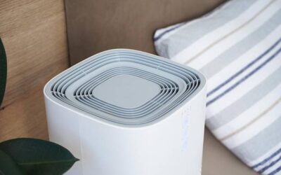 Jaki oczyszczacz powietrza Sharp wybrać do swojego domu?