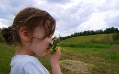 W poszukiwaniu najczystszego powietrza w Małopolsce – czy jest jeszcze gdzie oddychać pełną piersią?