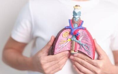 Z jakich elementów składa się nasz układ oddechowy?